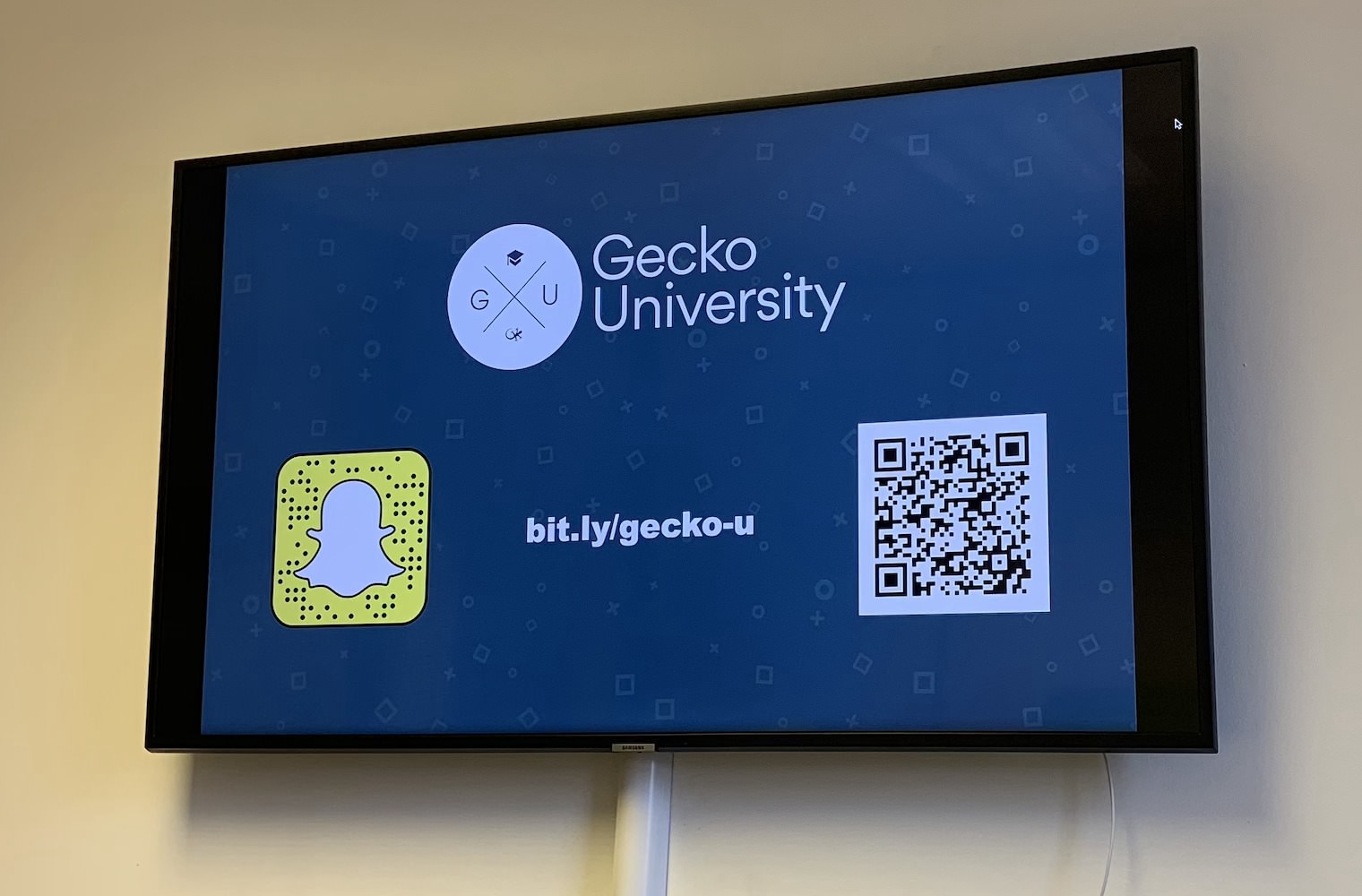 gecko-on-tv-3